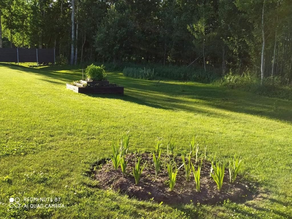 Дома для отпуска Private house with a grill terrace and sauna in Tartu Kõrveküla